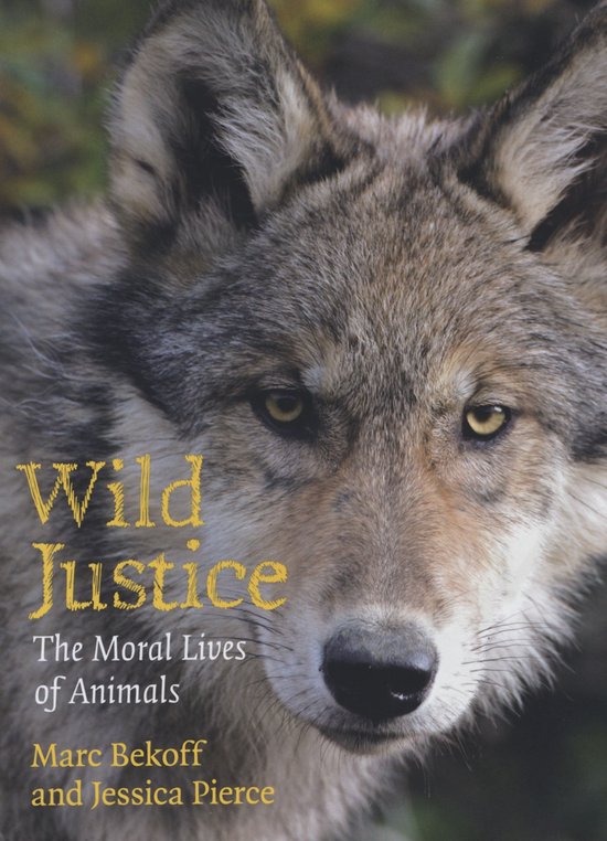 Wild Justice: The Moral Lives of Animals. Een close-up van een wolf met gele ogen en een grijze vacht. Tekst op de omslag: Wild Justice, The Moral Lives of Animals, Marc Bekoff and Jessica Pierce.