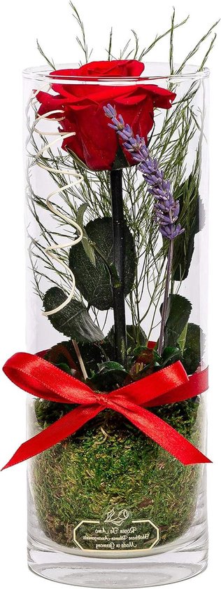 Eeuwige roos geurend met steel - Moederdag cadeaus - Forever Rose in cilindrisch glas (27 cm)