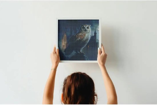 F4B Hibou de Poudlard Peinture de diamants 40x40cm | Pierres carrées | Harry Potter | Disney | Hiboux | Animaux | Oiseaux | Forfait Adultes et Enfants