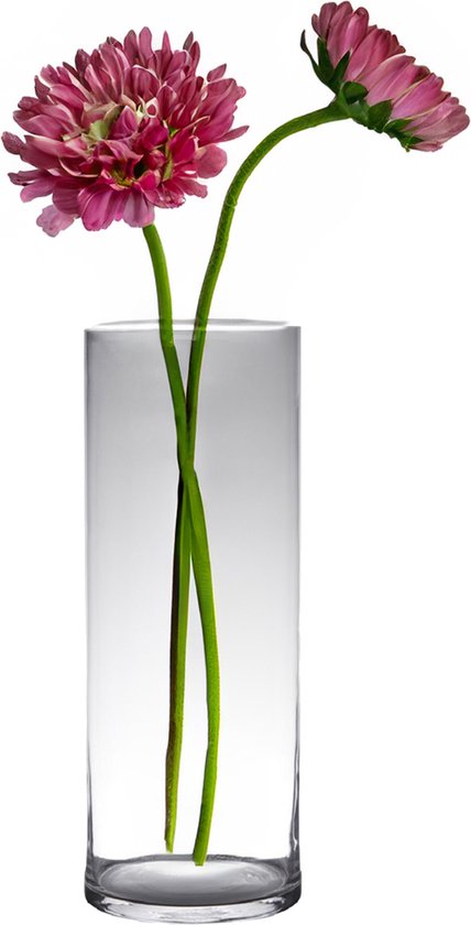 Hakbijl glass bloemenvaas - Transparant - glas - D19 x H60 cm - Cilinder vormig - Bloemen/takken/boeketten vaas