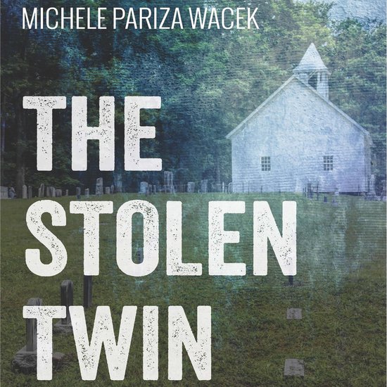The Stolen Twin - cover