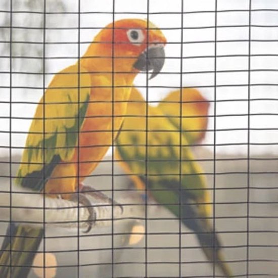 Volière maille 25x25mm 1.2mm 50cm x 10m Vert