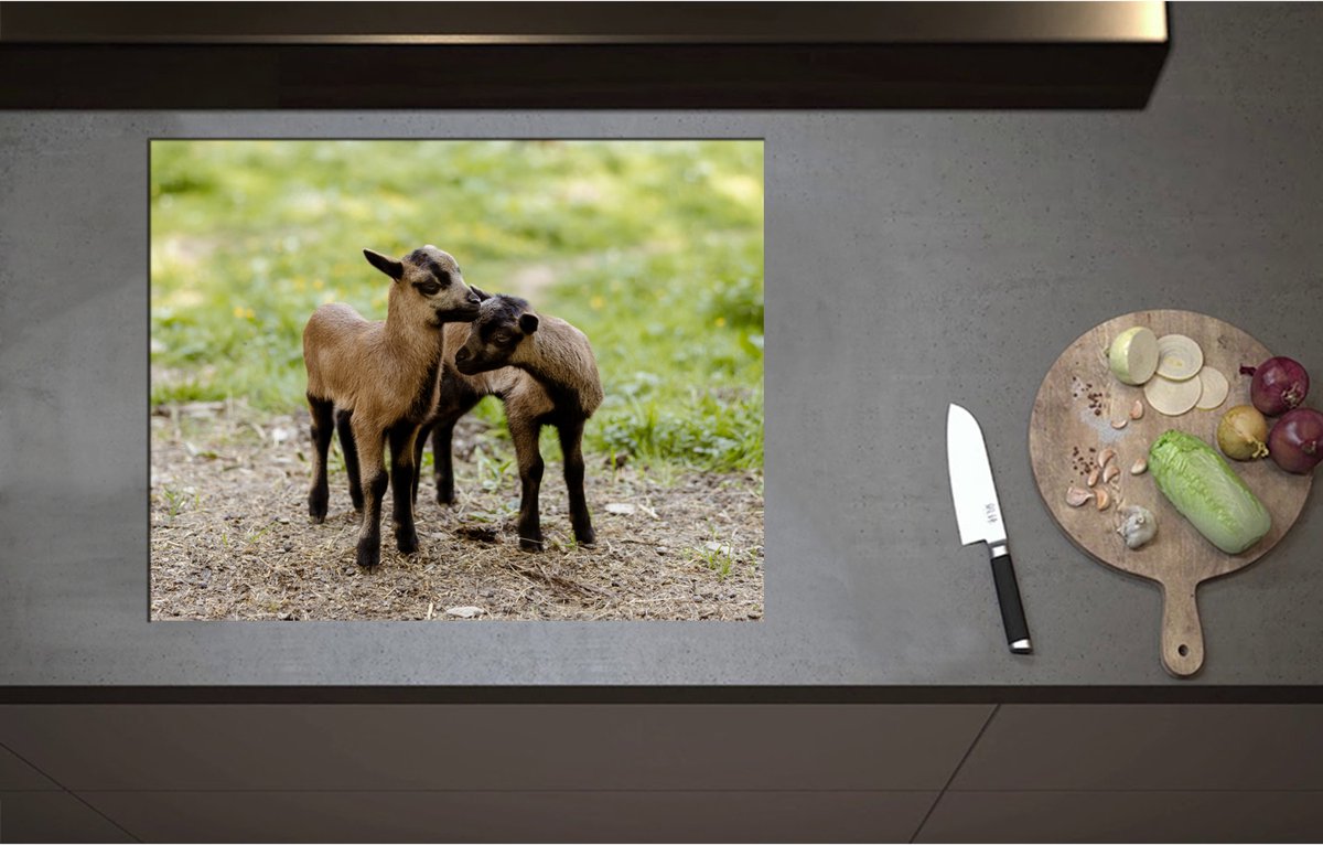 Inductieplaat Beschermer - Bruin met Zwarte Kussende Lammetjes - 70x55 cm - 2 mm Dik - Inductie Beschermer - Bescherming Inductiekookplaat - Kookplaat Beschermer van Zwart Vinyl