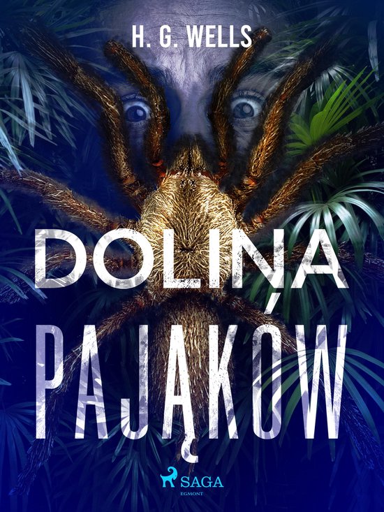 Dolina pająków - cover