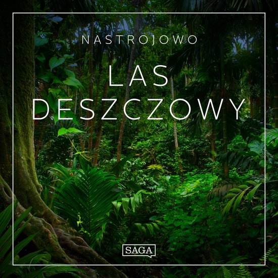 Nastrojowo - Las Deszczowy - cover