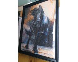 Diamond painting Fries paard kant en klaar