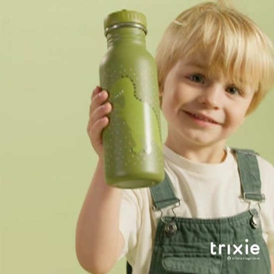 Trixie Drinkfles - Mr. Dino - RVS Waterfles voor kinderen - 500ml - Lekvrije Fles - Groen