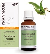 Eucalyptus Radiata etherische olie - Bio