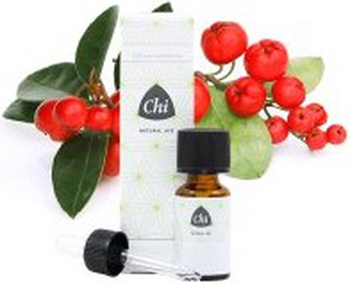 Goedkoopste Chi Wintergreen Wild - 10 ml - Etherische Olie