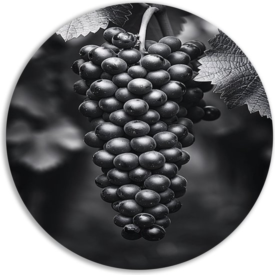 Tableau raisin - Cercles muraux fruits - Plat mural Feuilles - Tableaux champêtres - Cercles muraux - Art mural cercle mural aluminium 60x60 cm