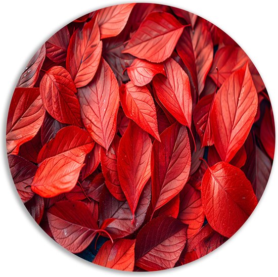 Foto: Bladeren wandbord natuur wandbord muurcirkel textuur klassieke schilderijen dibond kunst aan de muur muurcirkel aluminium 100x100 cm