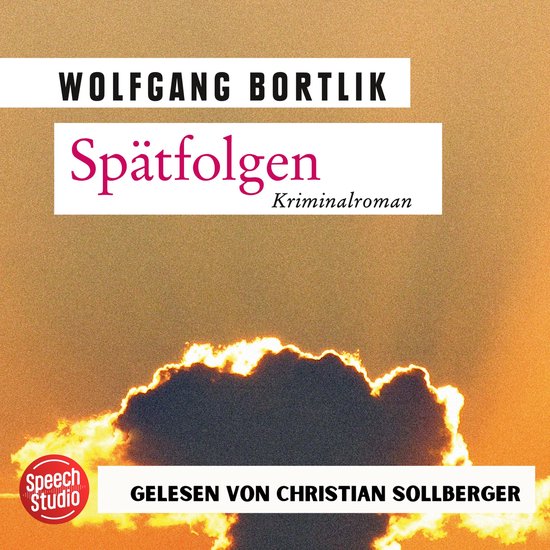 Spätfolgen: Kriminalroman - cover