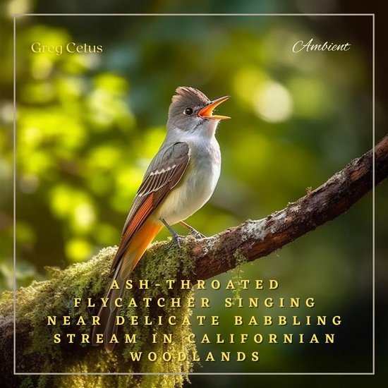 Ash-throated Flycatcher Singing Near Delicate Babbling Strea ... - cover