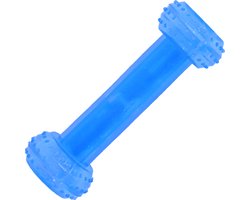 PetsHome Koel Bot - Hondenspeelgoed - Verkoeling - 16 cm