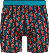 WE Fashion Heren boxershort met dessin