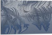 Dibond - Bevroren Vogel Veren - 75x50 cm Foto op Aluminium (Wanddecoratie van metaal)