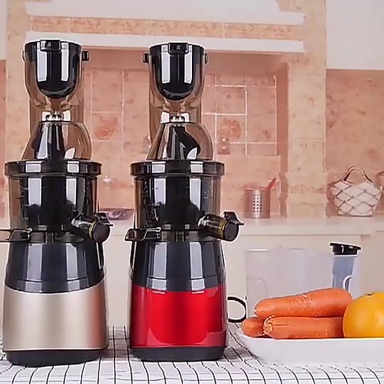 Thuys Sapcentrifuge voor Fruit en Groenten Slow Juicer Inclusief