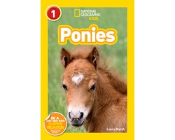 Ngr Ponies