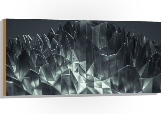 Hout - Abstracte IJzeren Pinnen - 100x50 cm - 9 mm dik - Foto op Hout (Met Ophangsysteem)
