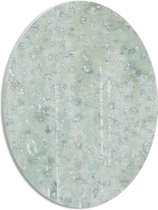 PVC Schuimplaat Ovaal - Textuur op Groene Plaat - 30x40 cm Foto op Ovaal (Met Ophangsysteem)