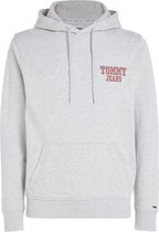 Tommy Hilfigr TJW REG Entry Graphic Hoodie Hommes - Grijs - Taille L