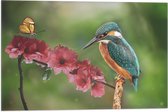 Vlag - IJsvogel en Vlinder op Bloesem Bloemen - 60x40 cm Foto op Polyester Vlag