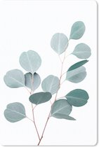 Muismat - Mousepad - Planten - Groen - Wit - Natuur - 40x60 cm - Muismatten