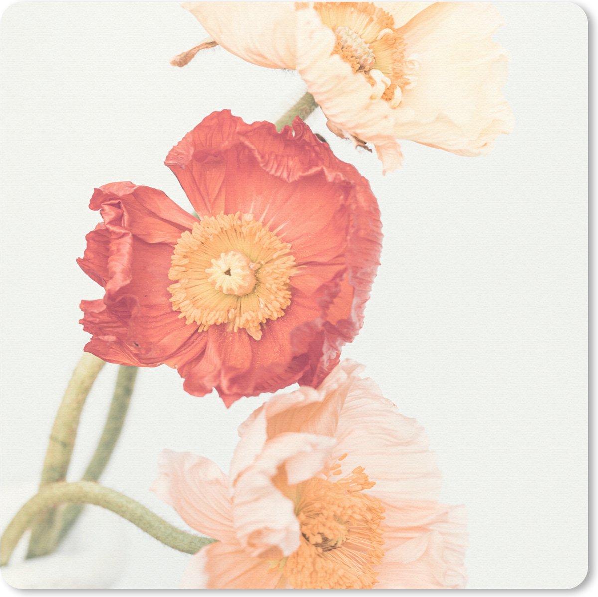 Muismat 20x20 cm - Mousepad Bloemen - Rood - Natuur - Planten - Muismatten