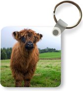Sleutelhanger - Uitdeelcadeautjes - Schotse hooglander - Koeien - Natuur - Groen - Gras - Plastic