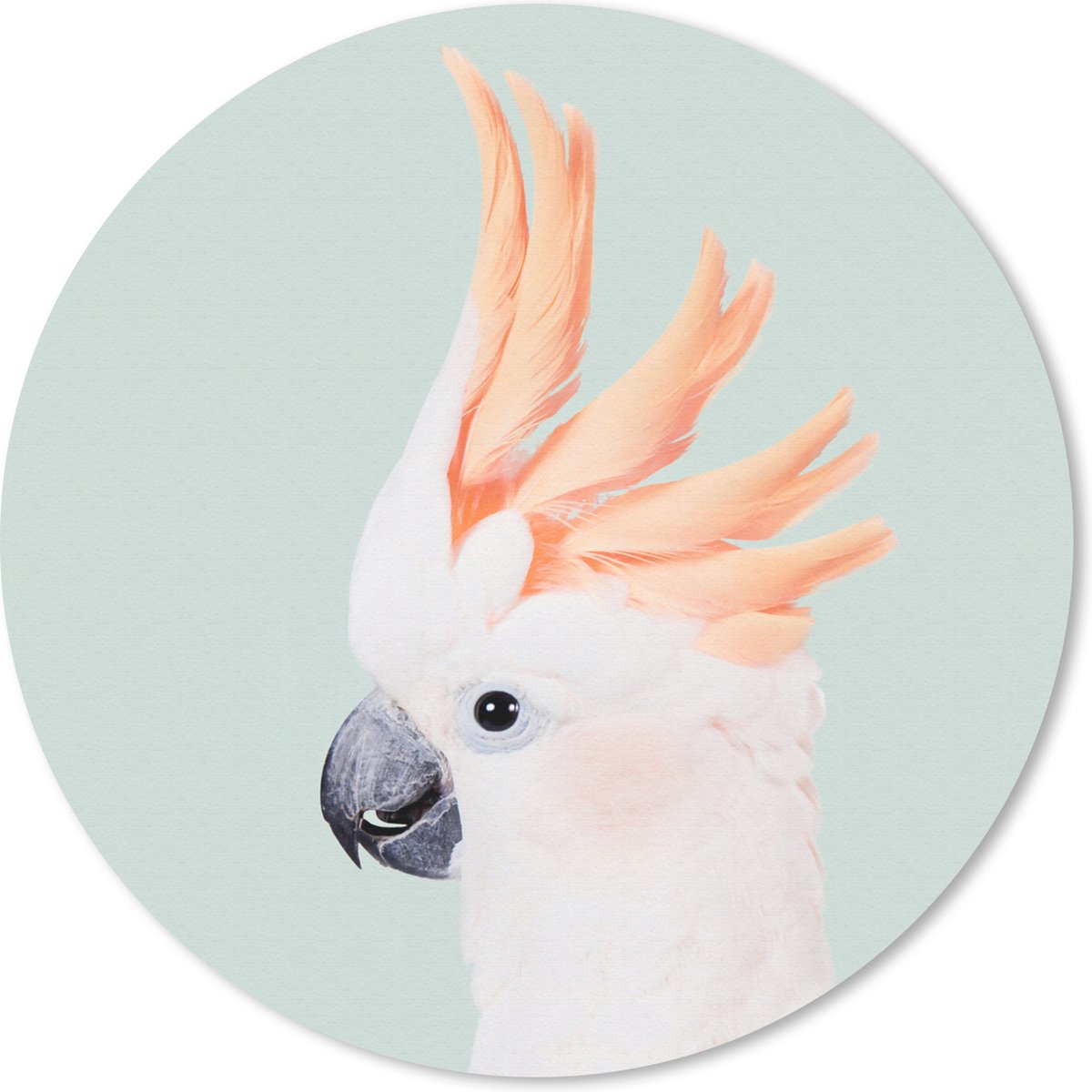 Muismat rond 40x40 cm - Mousepad Kaketoe - Dieren - Natuur - Wit - Ronde muismatten