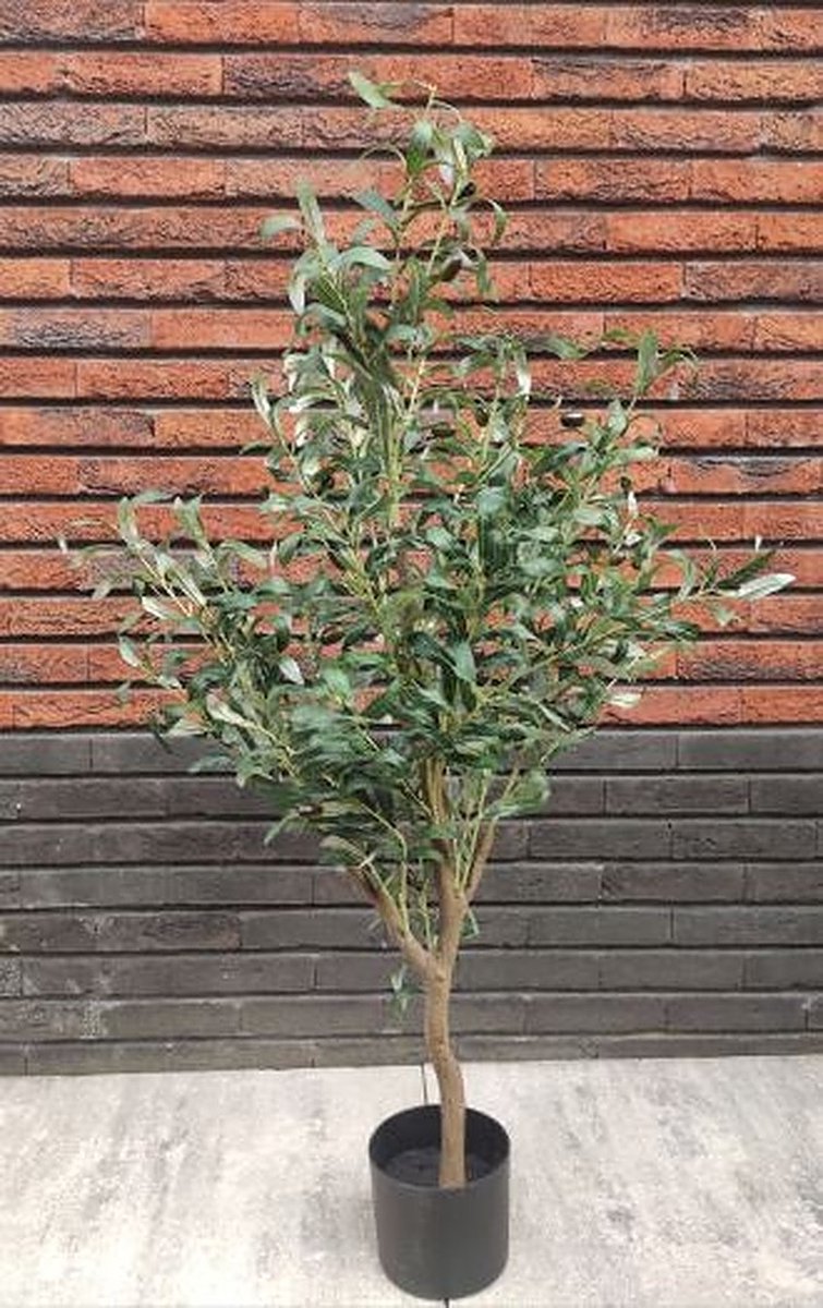 Kunst Olijfboom - Ivy | 180 cm | 🌱 kopen