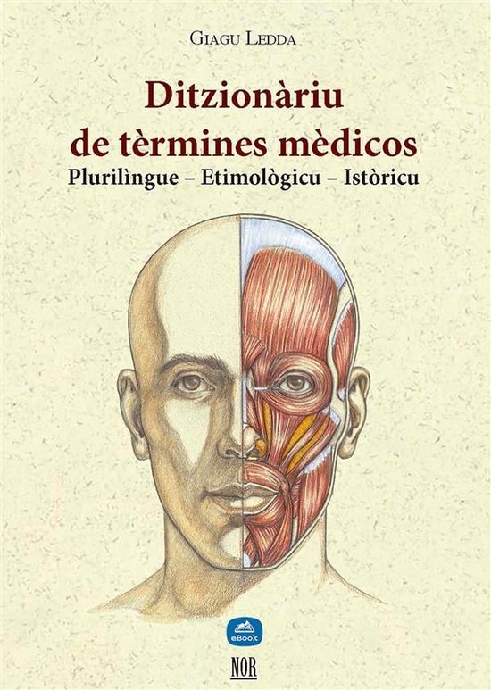 paràulas 3 Ditzionàriu de tèrmines mèdicos (ebook), Giagu Ledda