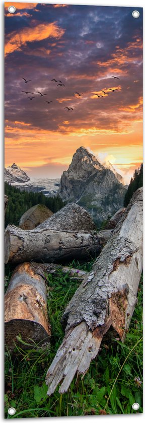 Tuinposter – Vogels Vliegend boven Grote Boomstronken Hoog in de Bergen tijdens Zonsondergang - 40x120 cm Foto op Tuinposter (wanddecoratie voor buiten en binnen)