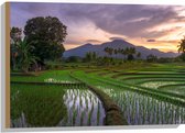 Hout - Rijstvelden Vol met Water in Indonesië - 75x50 cm - 9 mm dik - Foto op Hout (Met Ophangsysteem)