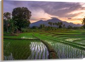 Hout - Rijstvelden Vol met Water in Indonesië - 100x75 cm - 9 mm dik - Foto op Hout (Met Ophangsysteem)