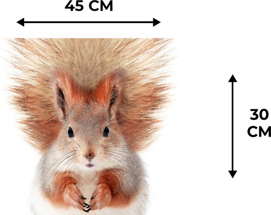 Set de Table - Napperons en Plastique - Écureuil - Animaux - Nature - Oranje - Wit - 45x30 cm - 6 pièces - Résistant à la Chaleur - Antidérapant - Coussinet - Amovible