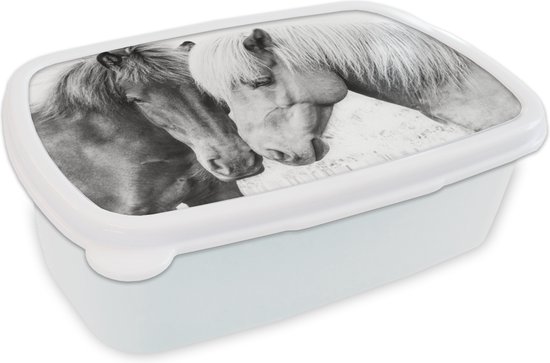 Broodtrommel Wit - Lunchbox - Brooddoos - Paarden - Dieren - Zwart wit - Natuur - 18x12x6 cm - Volwassenen