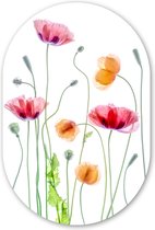 Coquelicot - Fleurs - Printemps - Assiette en plastique Wit (5mm d'épaisseur) - Forme miroir ovale sur plastique
