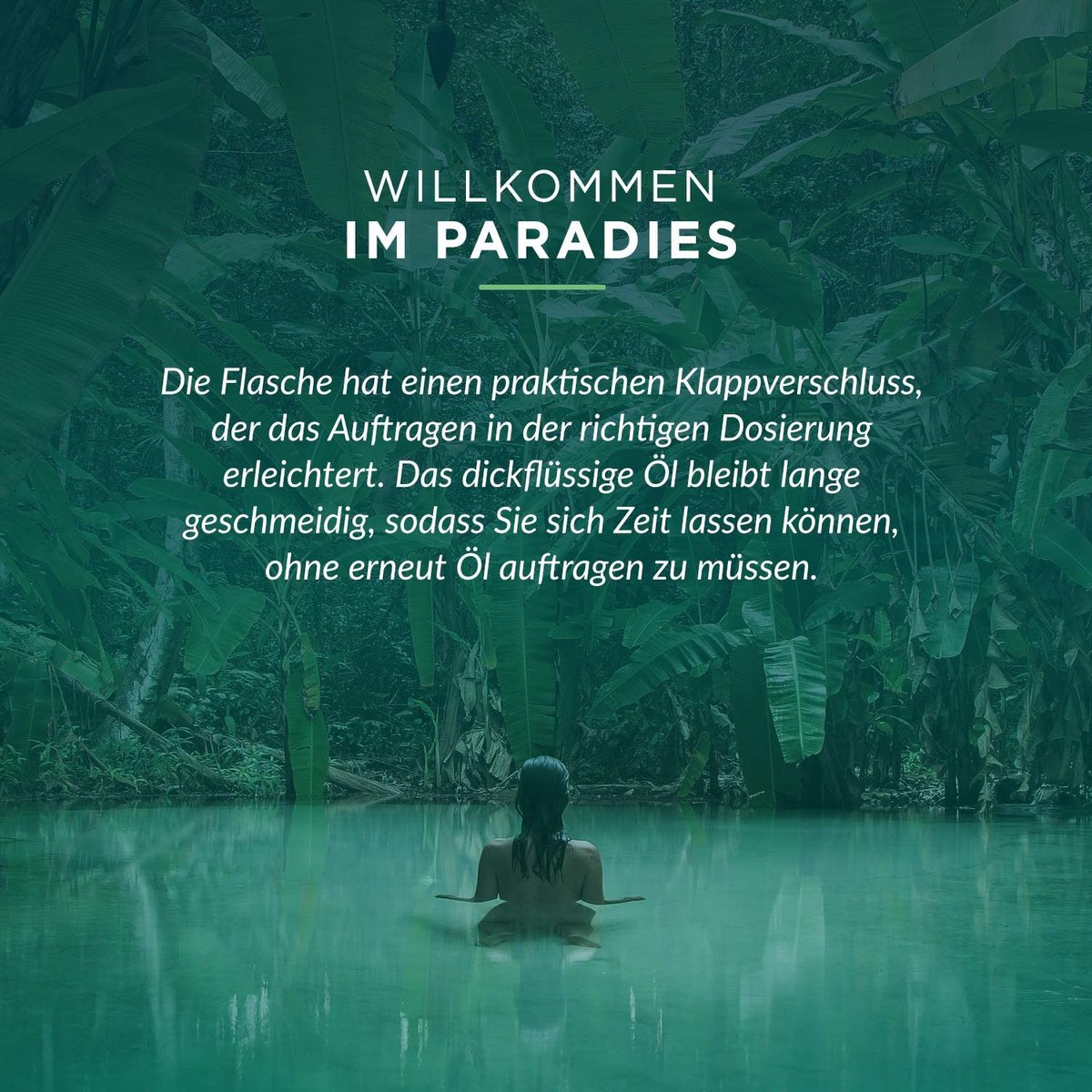 Basis Massage Olie / 100 Puur Natuurlijke Basisolie Dragerolie