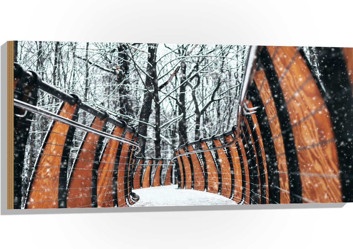 Hout - Hekwerk in Ondergesneeuwd Bos - 100x50 cm - 9 mm dik - Foto op Hout (Met Ophangsyst
