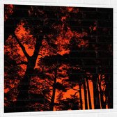 WallClassics - Muursticker - Silhouet van Groep Bomen tegen Oranje Lucht - 100x100 cm Foto op Muursticker