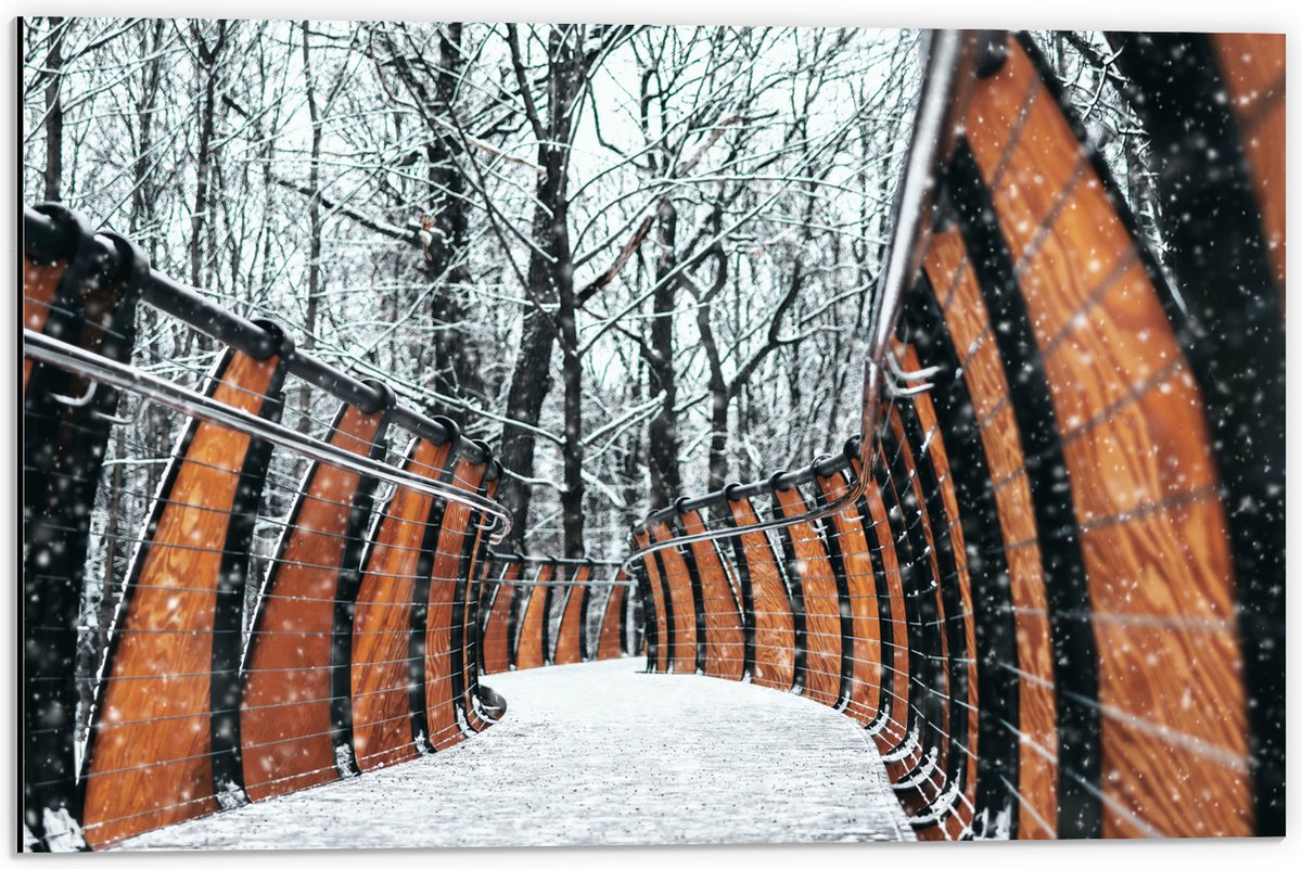 Dibond - Hekwerk in Ondergesneeuwd Bos - 60x40 cm Foto op Aluminium (Wanddecoratie van met