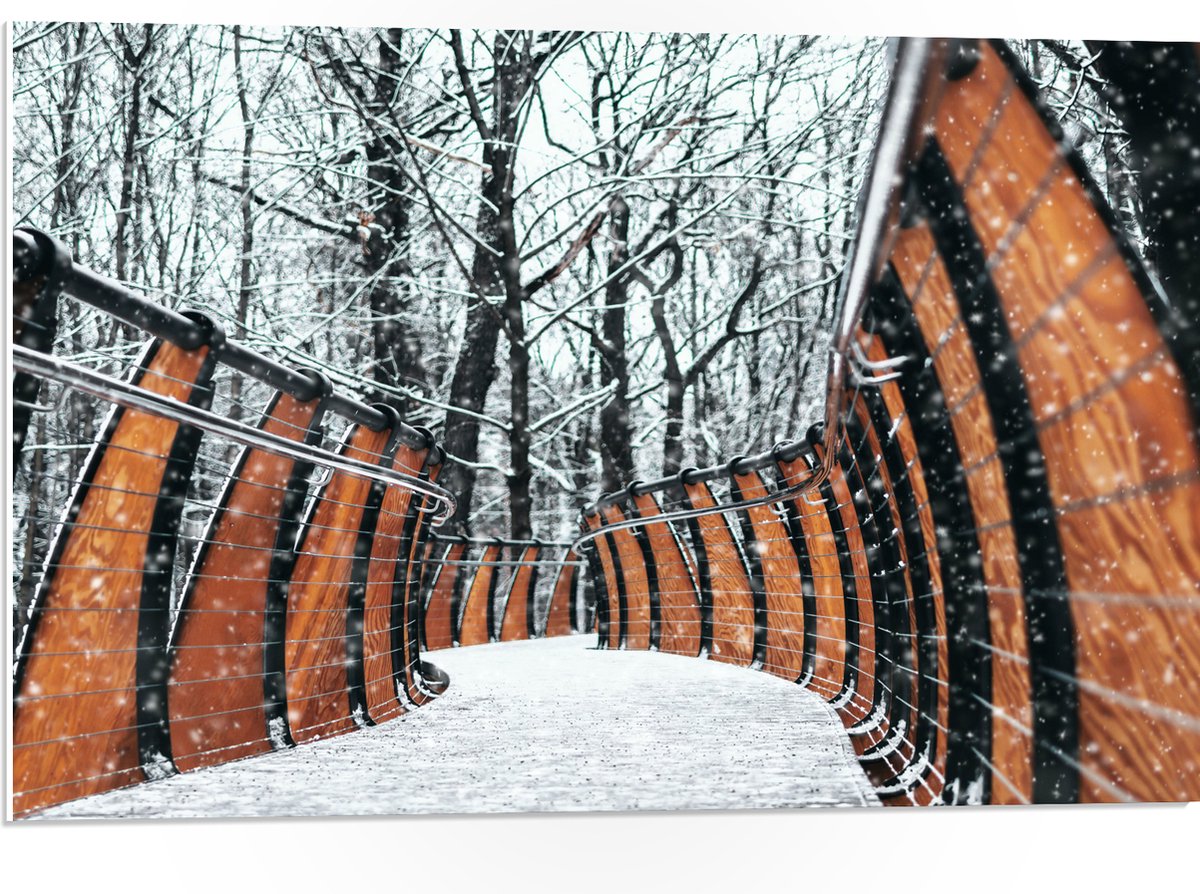 PVC Schuimplaat- Hekwerk in Ondergesneeuwd Bos - 75x50 cm Foto op PVC Schuimplaat