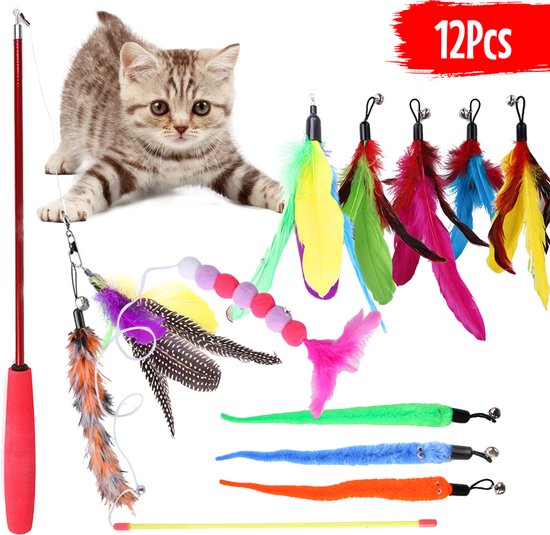 Interactief kattenspeelgoed kopen? Slimme fun voor elke kat