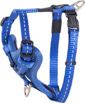 Rogz Utility Control Harness Blauw - Harnais pour chien - 23-37x1.1 cm