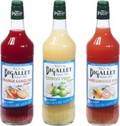 Bigallet Suikervrij siroop voordeelpakket Bloedsinaasappel, Grapefruit & Limoen - 3 x 100 cl