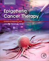 Translational Epigenetics - Epigenetic Cancer Therapy