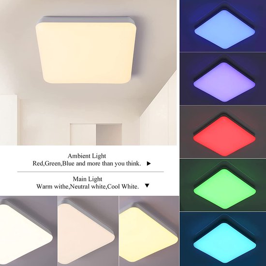 NETTLIFE LED-plafondlamp voor woonkamer, dimbaar, modern, RGB, met