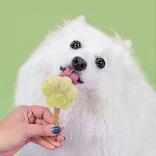 Witte hond likt een lichtgroen pootvormig ijsje dat in een hand wordt gehouden. Het ijsje heeft het woord "Smoofl" erop.
