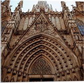 Acrylglas - Vooraanzicht van Kathedraal in Barcelona in Spanje - 50x50 cm Foto op Acrylglas (Met Ophangsysteem)